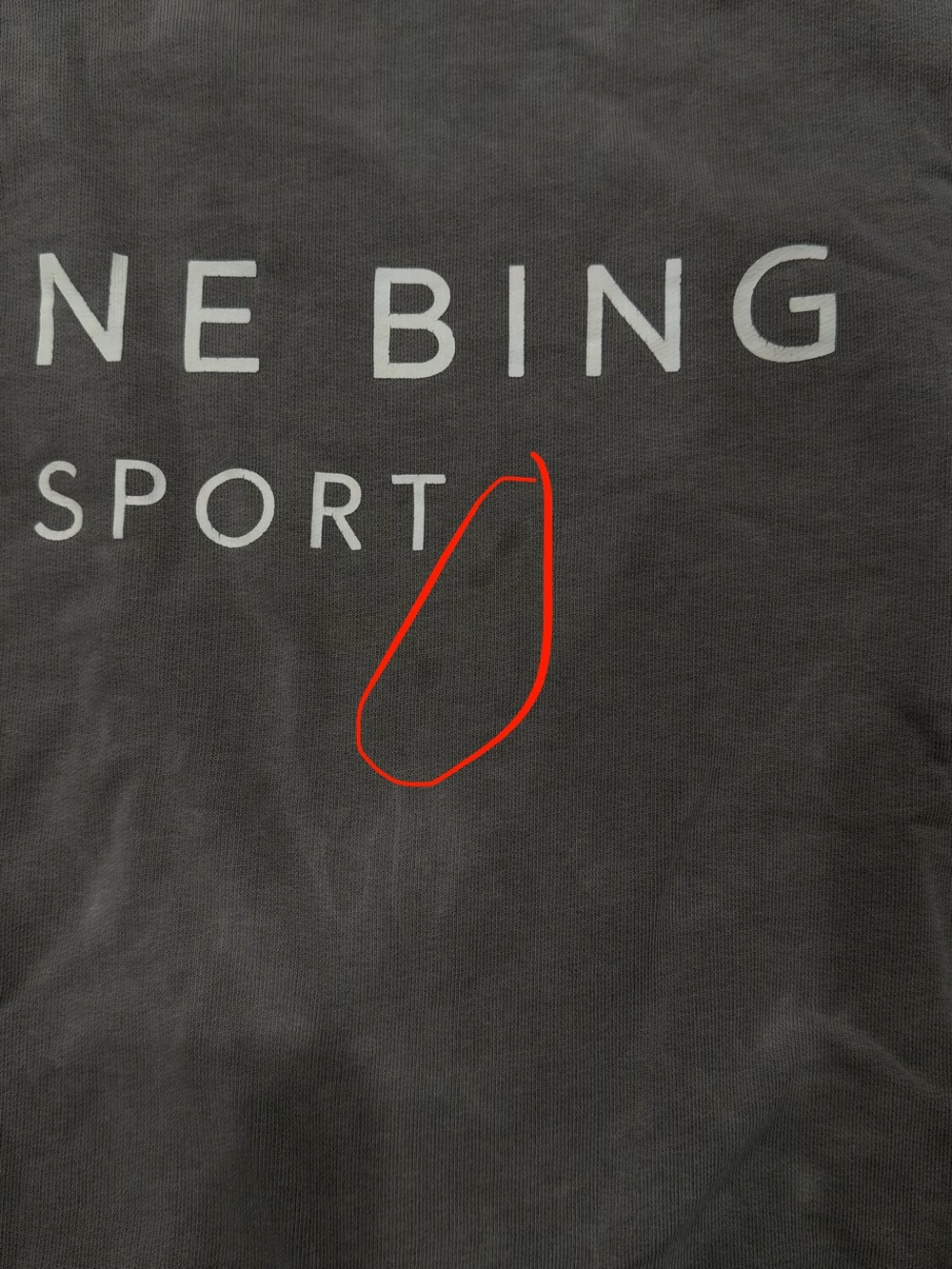 Anine Bing Sport sweatshirt with a vintage washed finish Gray Green Sz XS - Picture 2 of 13